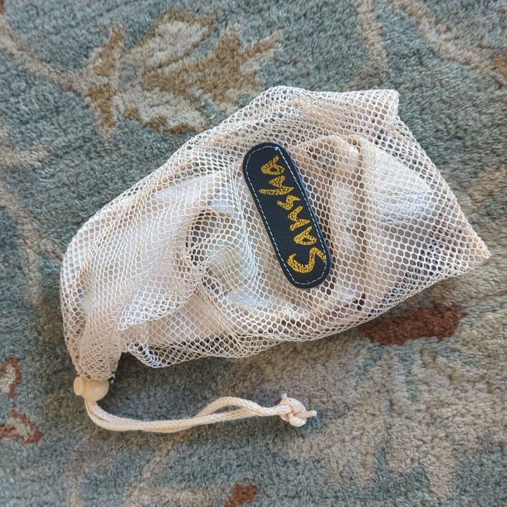 Sansha ballet shoes